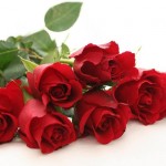 Click here to order flowers.